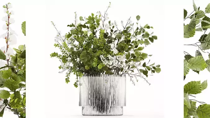 Beautiful Bouquet Of Branches Flowering Cherries 489