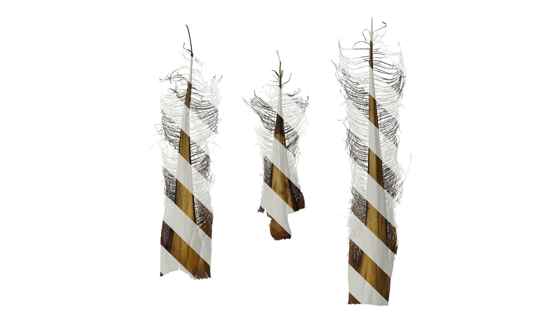 Anydrafts Rhapis excelsa Leaf sheath 01 Texture