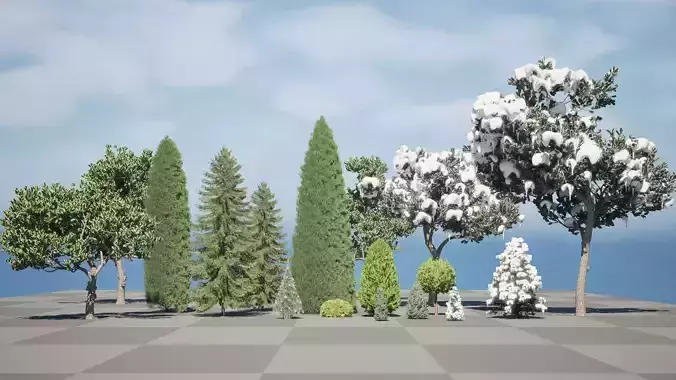 Conifer 3D Pack High-Quality 3D model