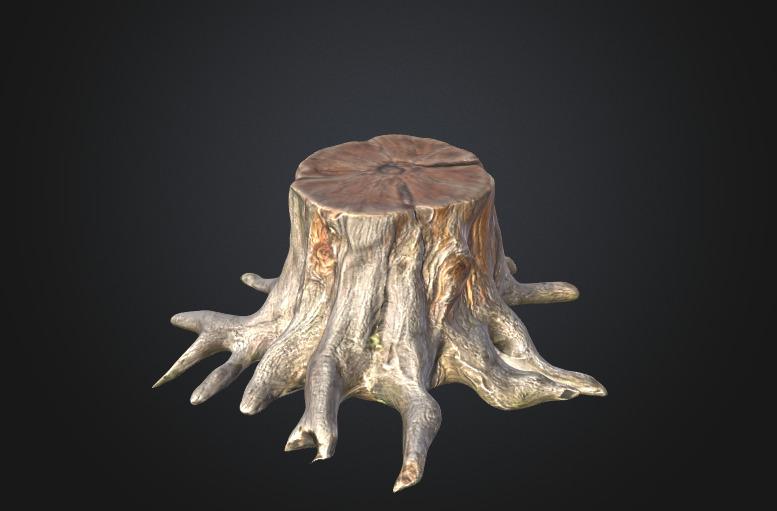 Old tree stump 3D model_1