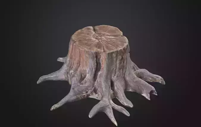 Old tree stump 3D model