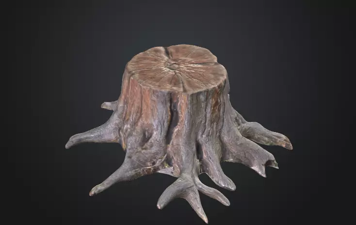 Old tree stump 3D model_0