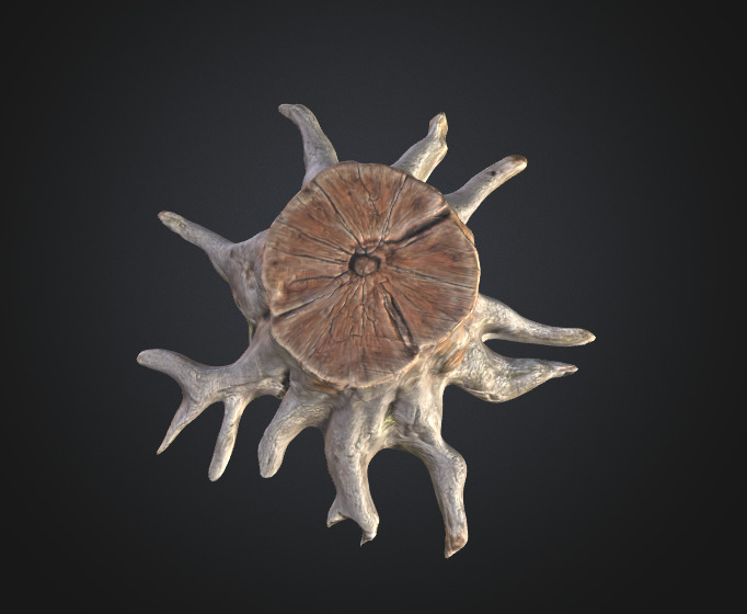 Old tree stump 3D model_2