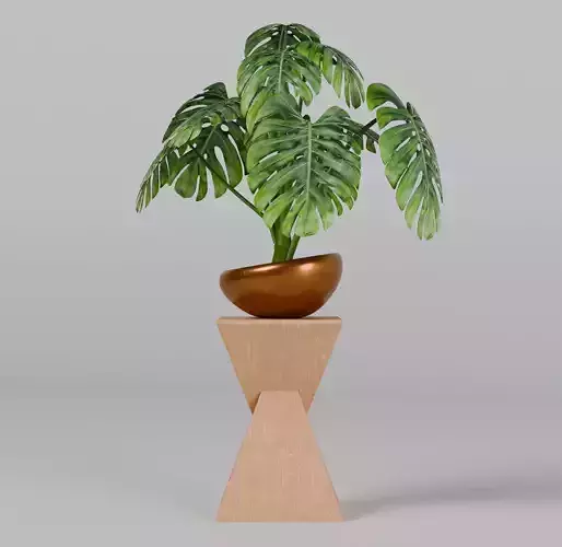 Potted plastic plant Monstera