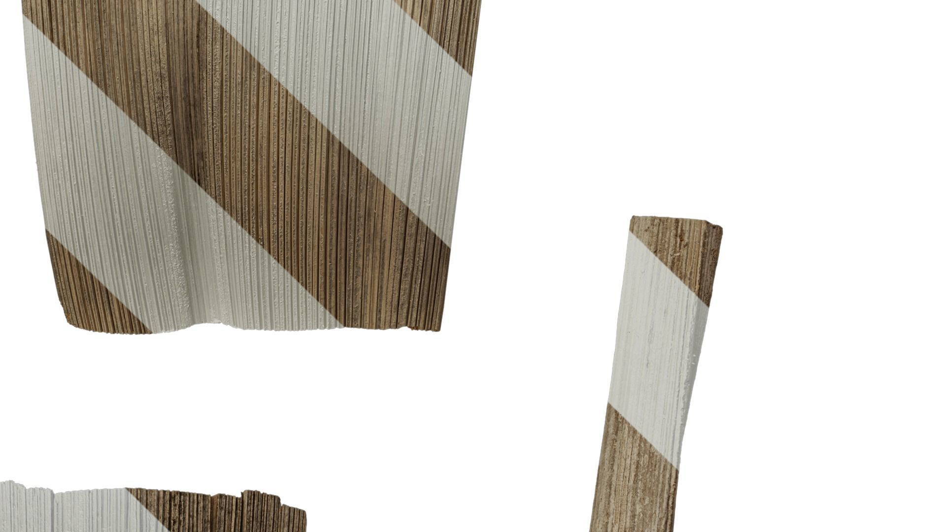 Anydrafts Syagrus romanzoffiana Flower 01 B Texture_5