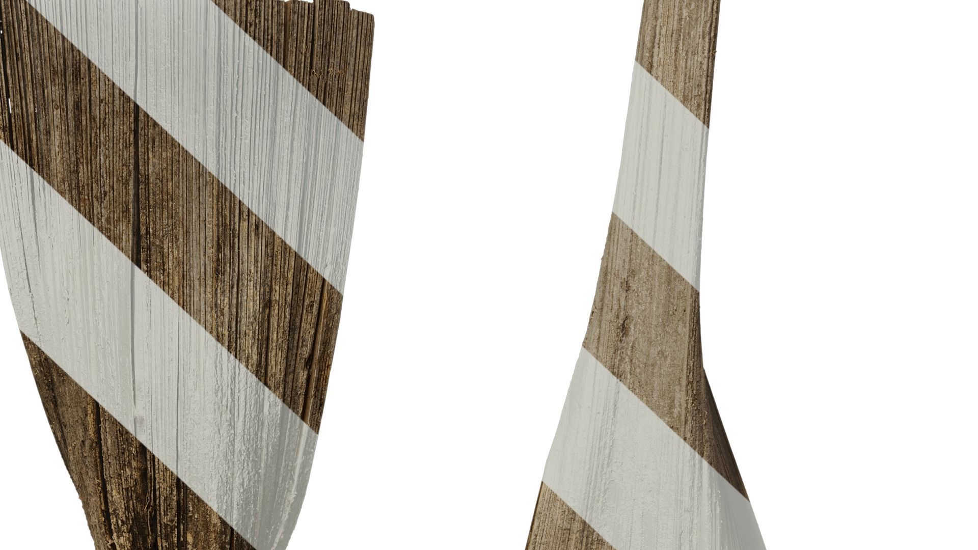 Anydrafts Syagrus romanzoffiana Flower 01 B Texture_7