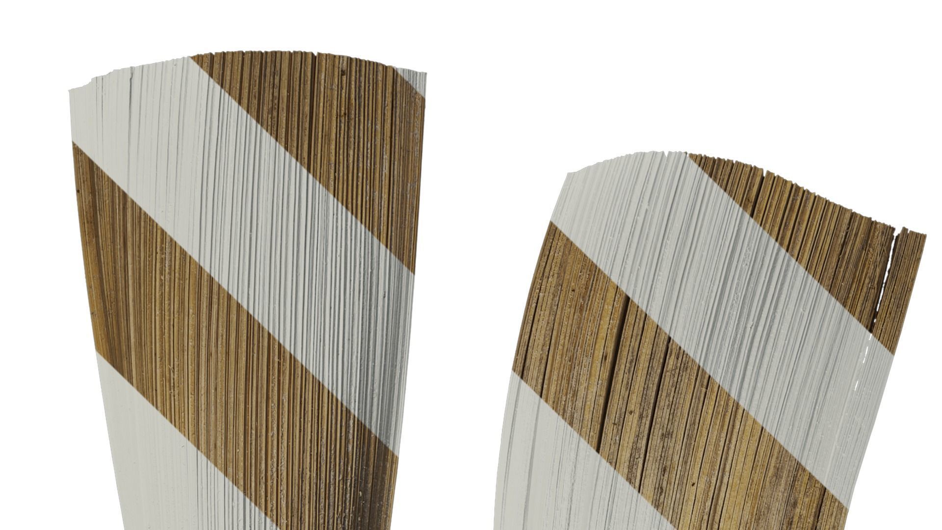 Anydrafts Syagrus romanzoffiana Flower 01 B Texture_2