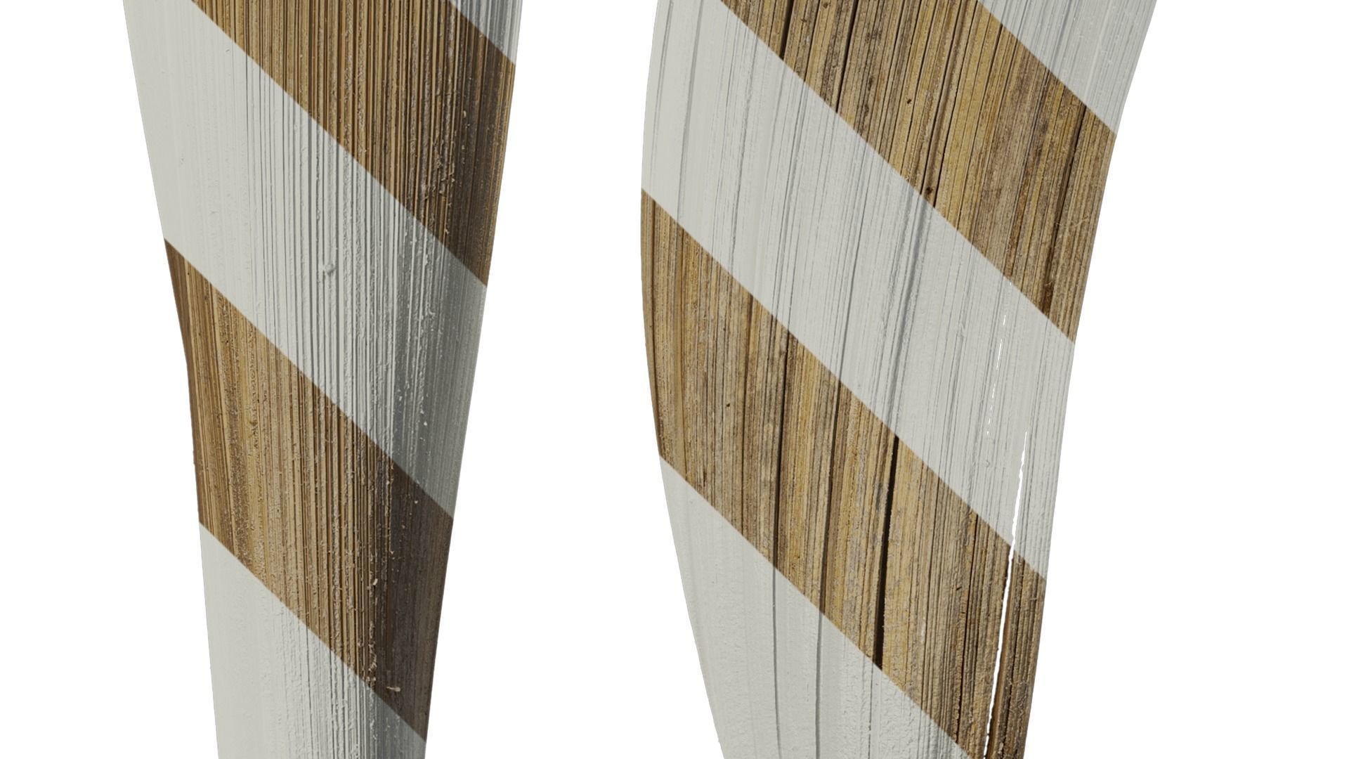 Anydrafts Syagrus romanzoffiana Flower 01 B Texture_4