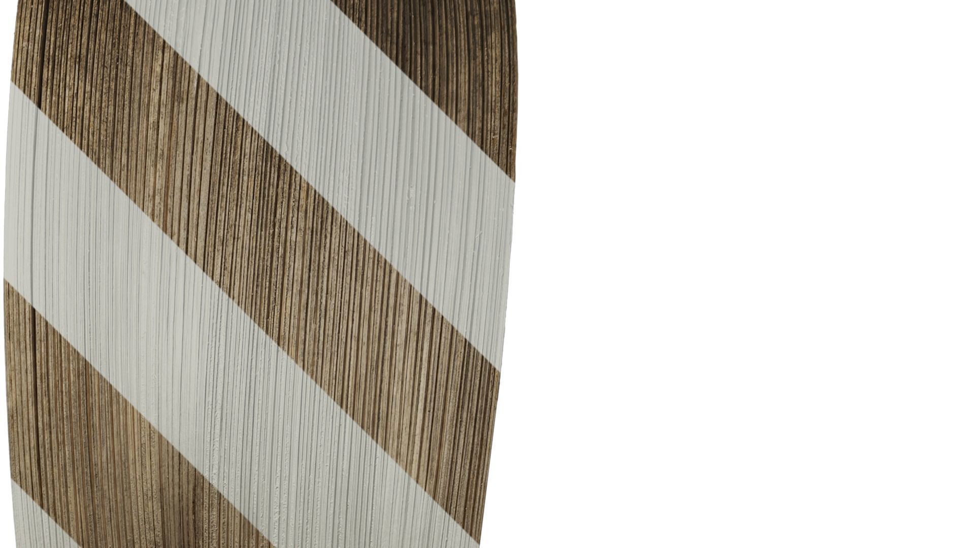 Anydrafts Syagrus romanzoffiana Flower 01 B Texture_3