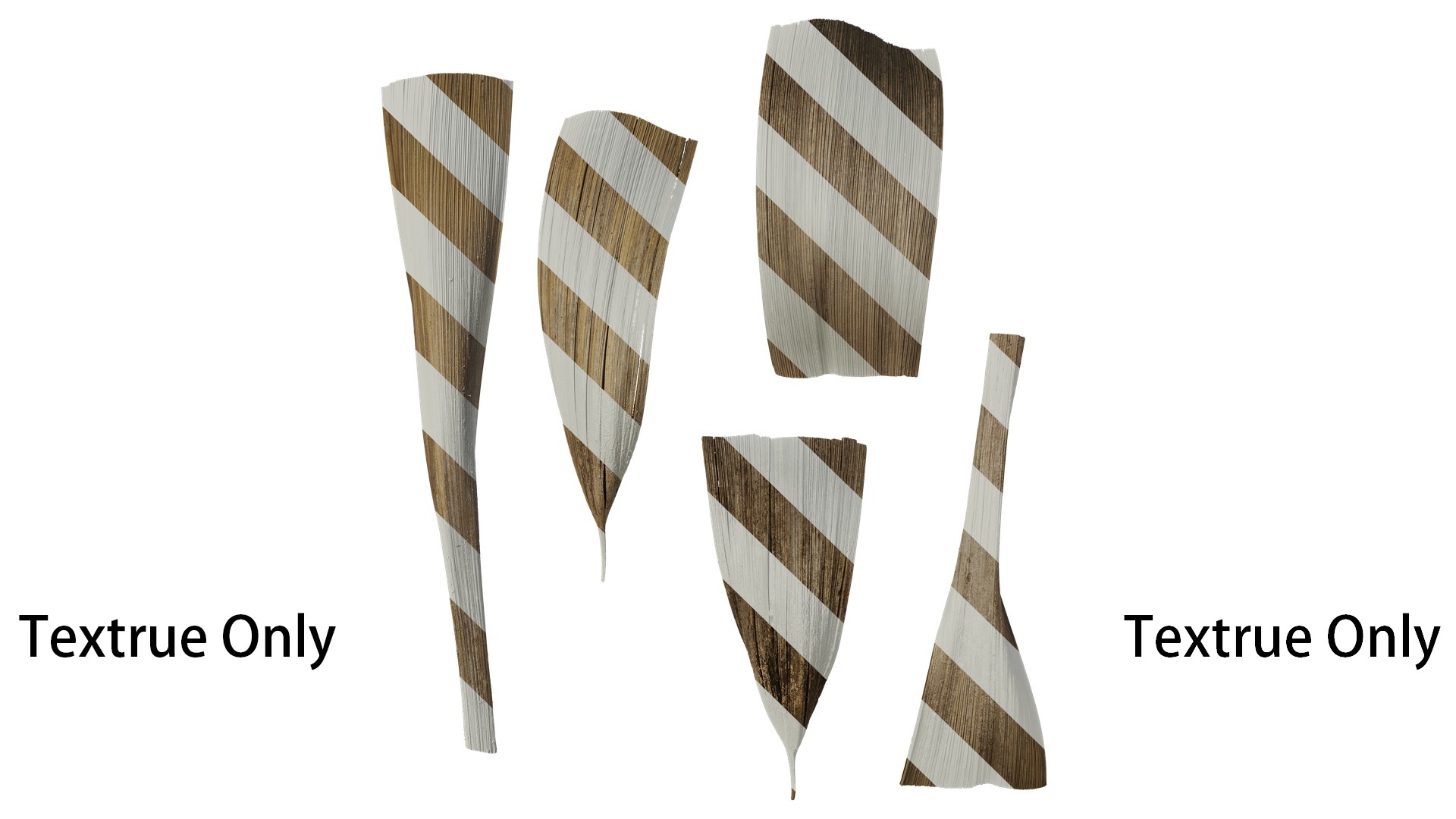 Anydrafts Syagrus romanzoffiana Flower 01 B Texture_1