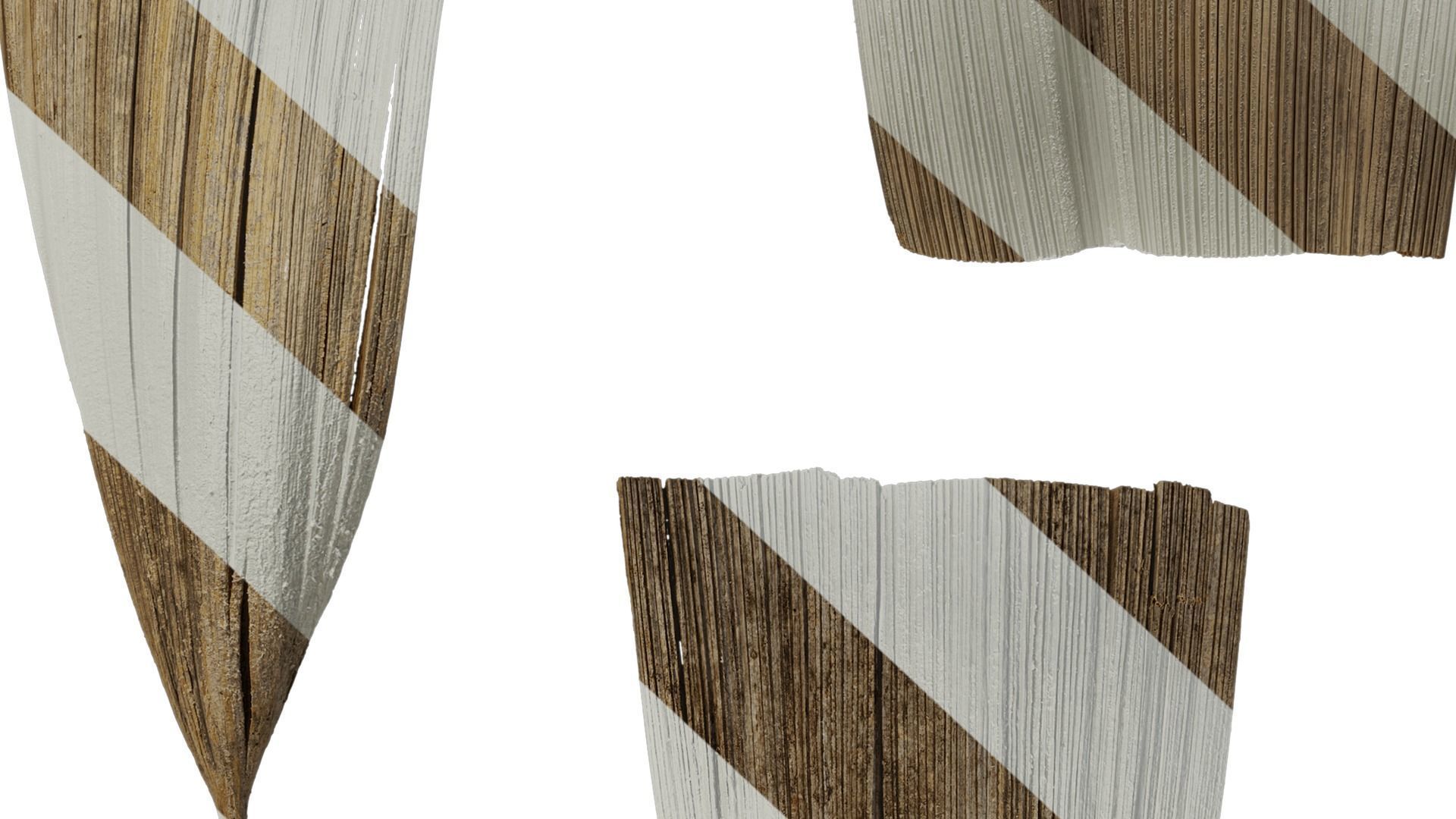 Anydrafts Syagrus romanzoffiana Flower 01 B Texture_8