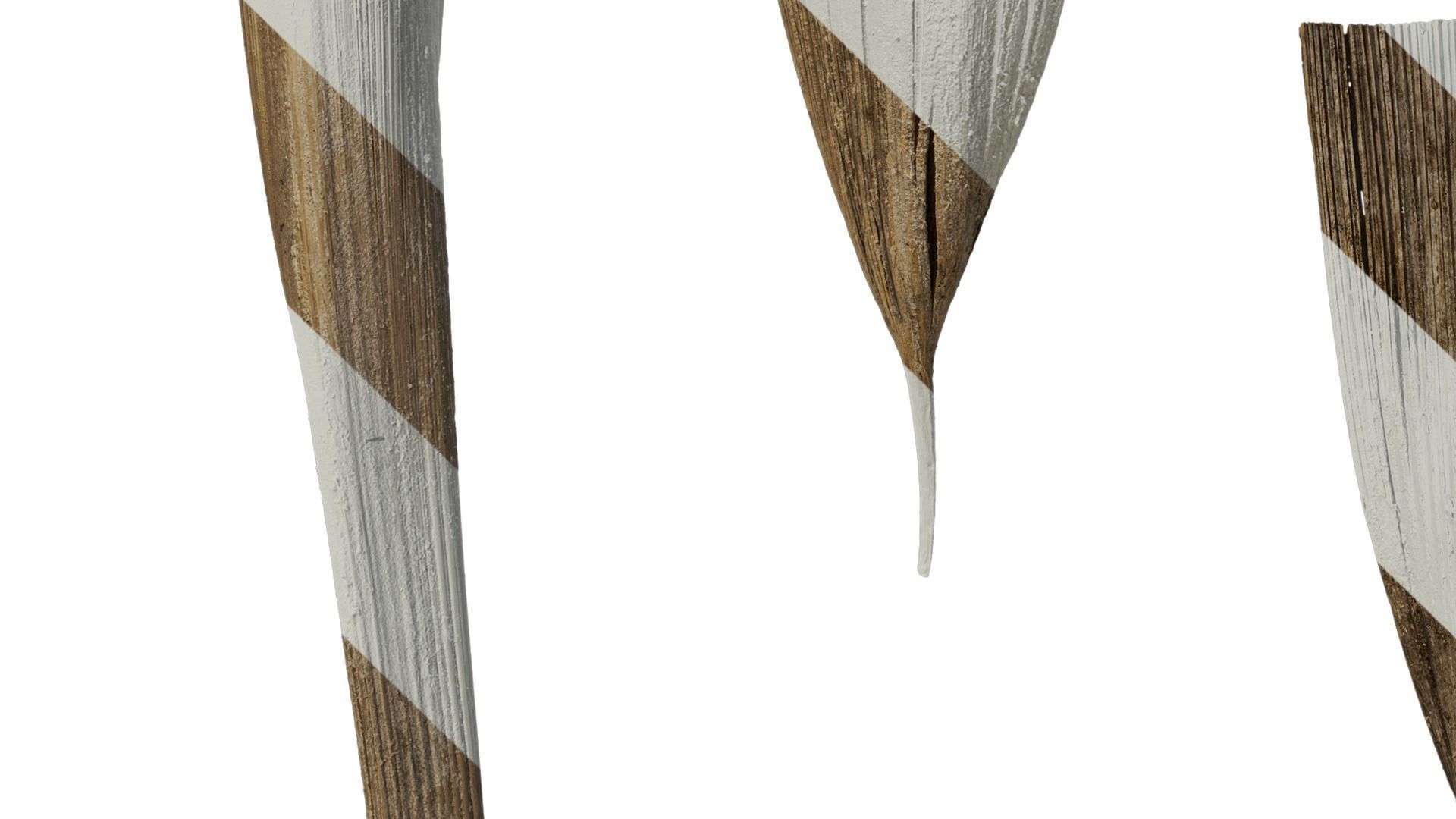 Anydrafts Syagrus romanzoffiana Flower 01 B Texture_6