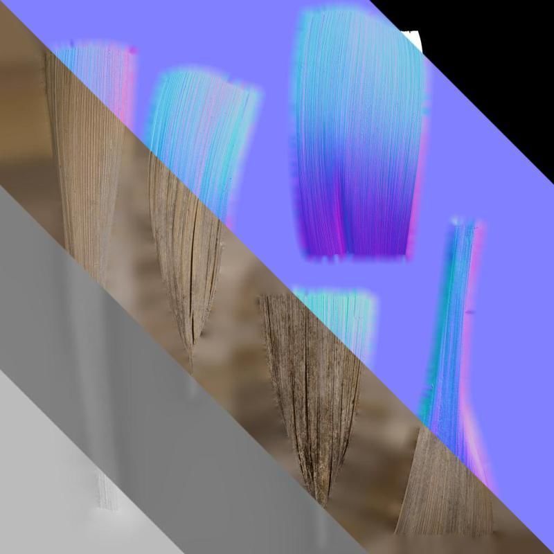 Anydrafts Syagrus romanzoffiana Flower 01 B Texture_9