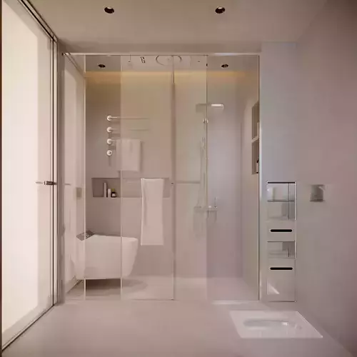 Modern minimalist bathrooms