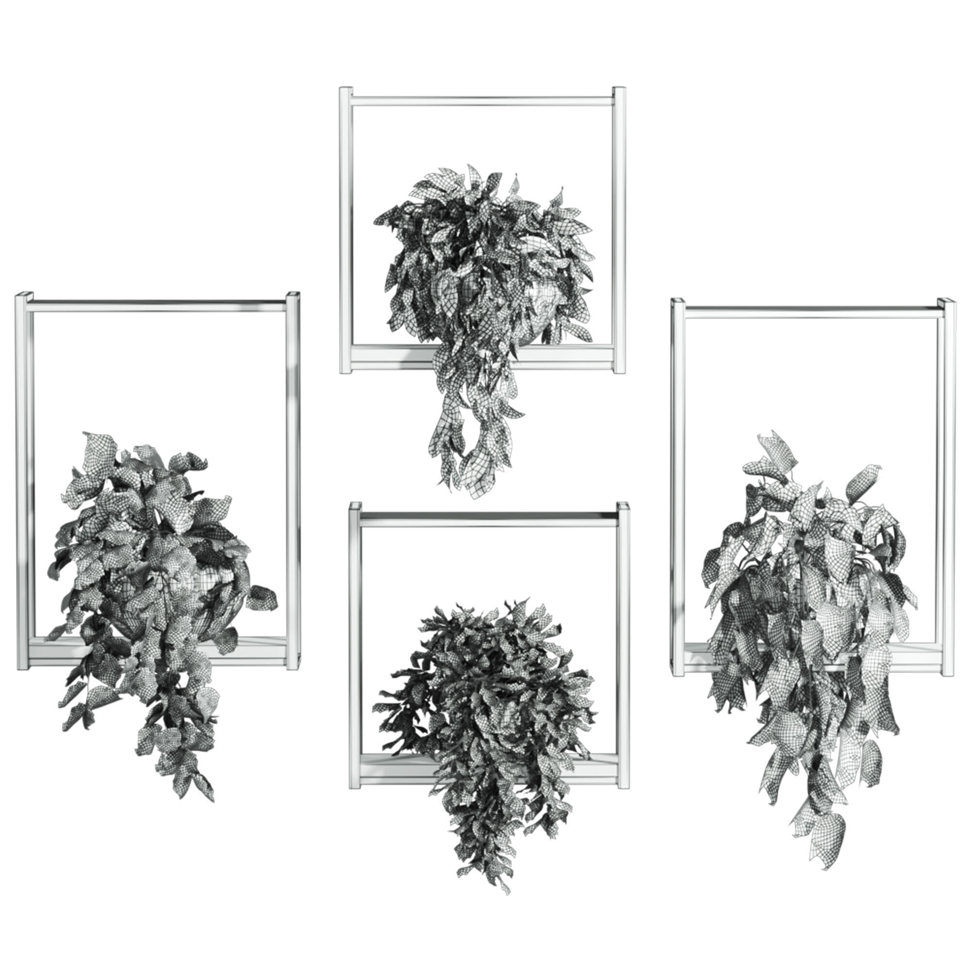 Plants Set 3D model_5