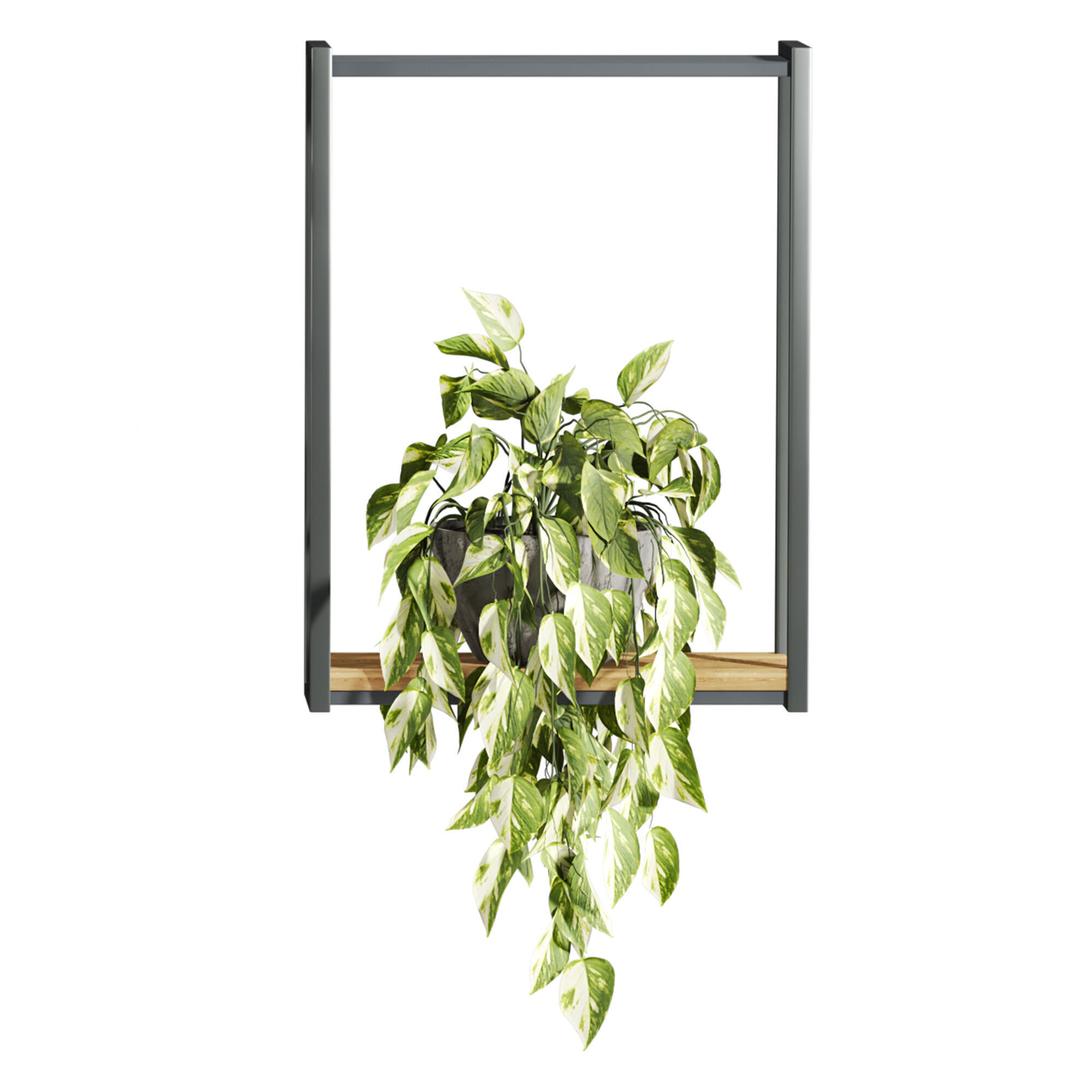 Plants Set 3D model_3