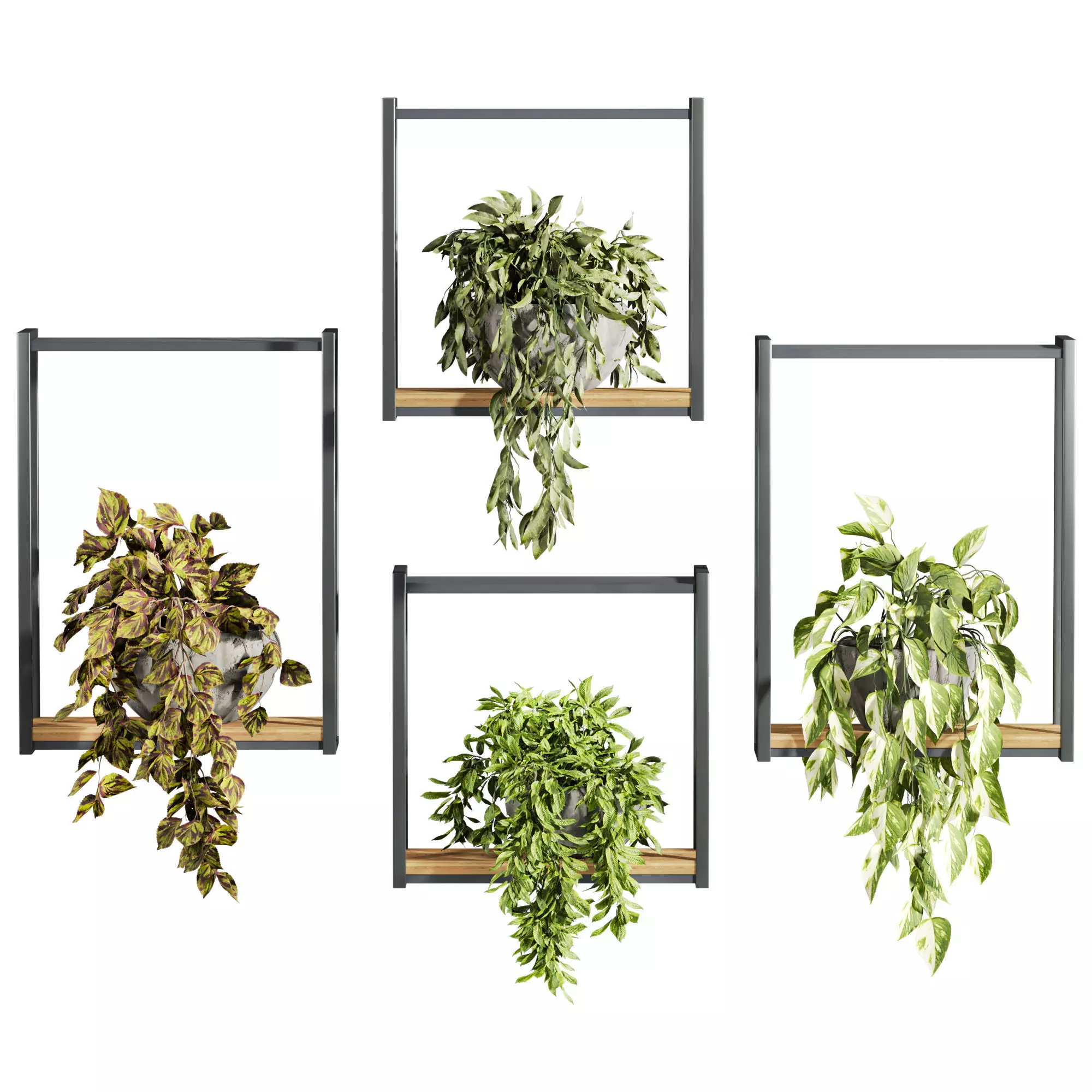 Plants Set 3D model_0