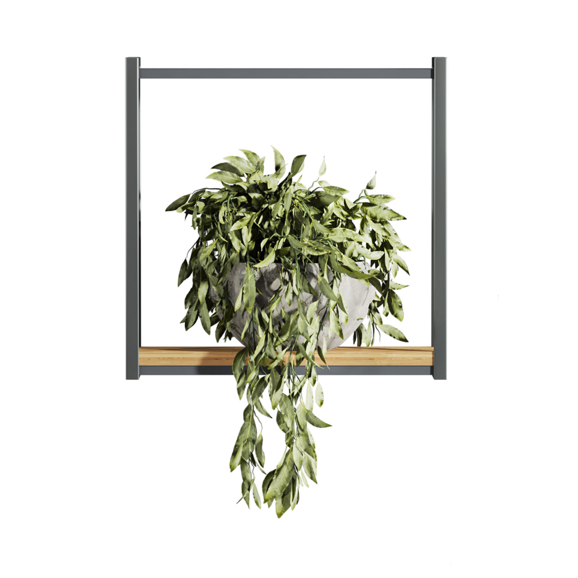 Plants Set 3D model_4