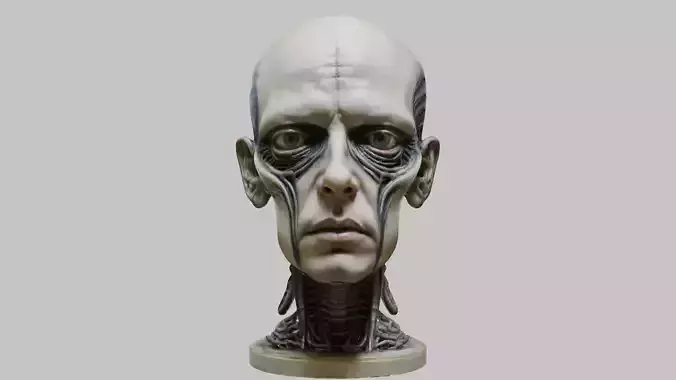 Portrait of a man HR Giger Style Human Head Bust 4