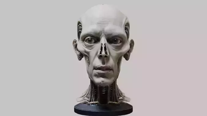 Detailed 3D Head Model HR Giger Man 