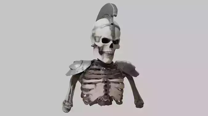 Stylized Spartan Warrior Skeleton