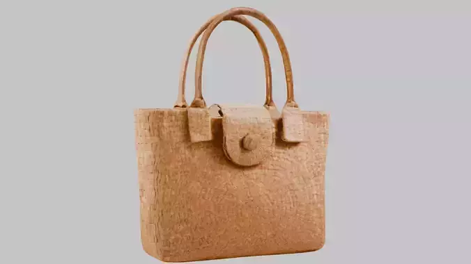 Woman Handbag