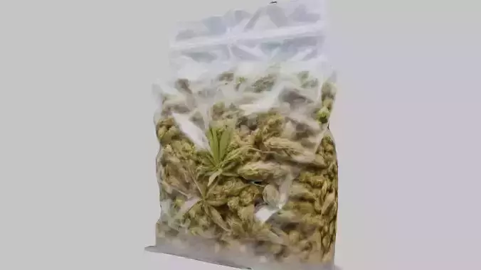Transparent Plastic Weed Cannabis CBD THC Bag 3D Model