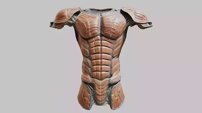 Medieval Body Armor Torso and Shoulder Pads Low-poly 3D model