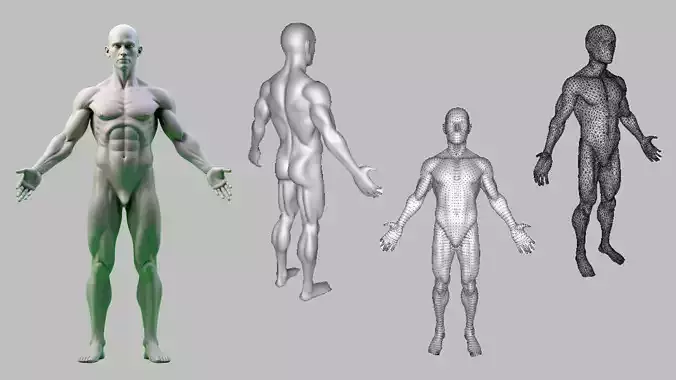 Rigged Human Pose 3D Model  AI  Game Dev PBR Textures  3D model