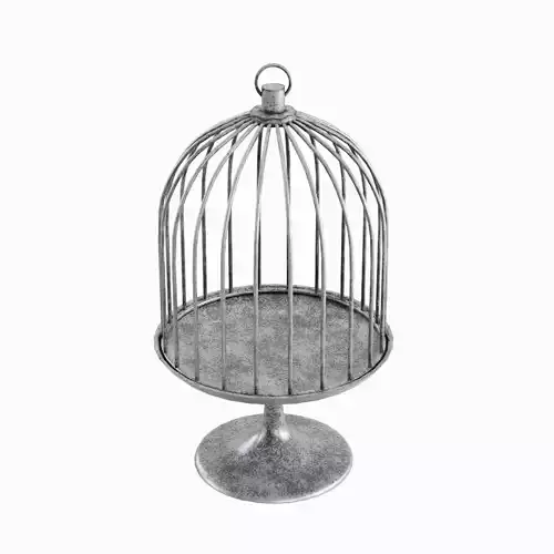 Metal Birdcage 01