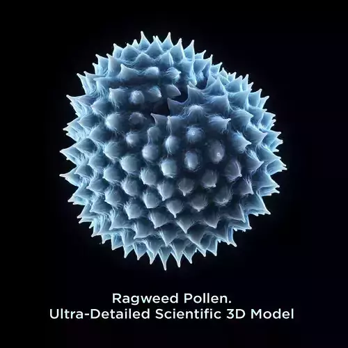 Ragweed Pollen Particle 