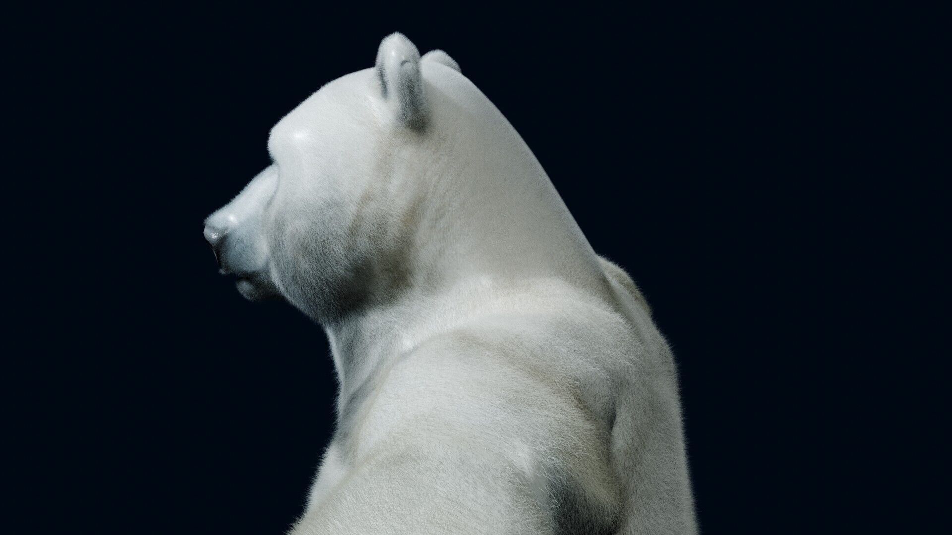 Polar bear Low-poly 3D model_3