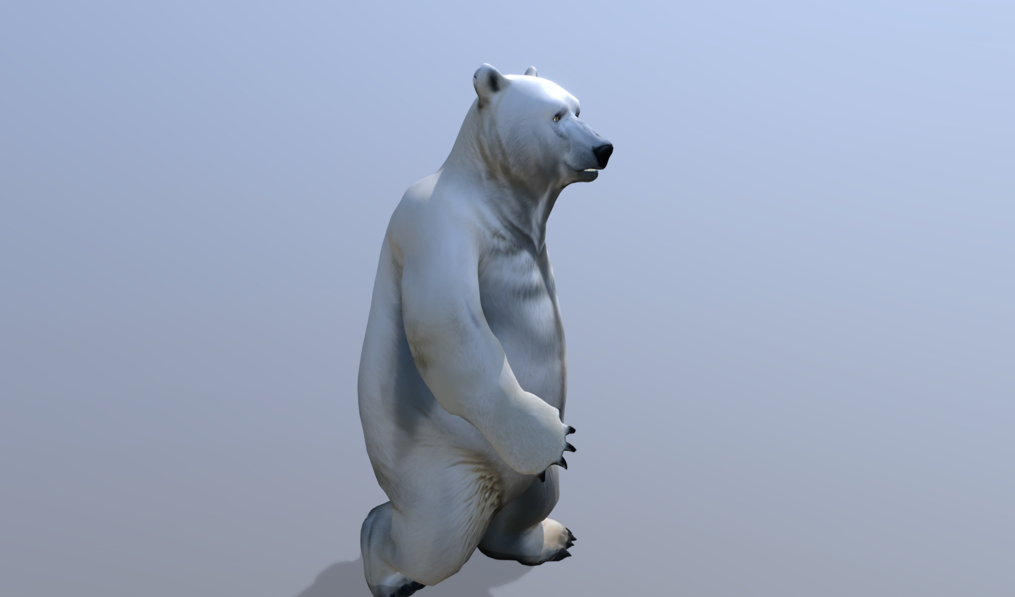Polar bear Low-poly 3D model_1