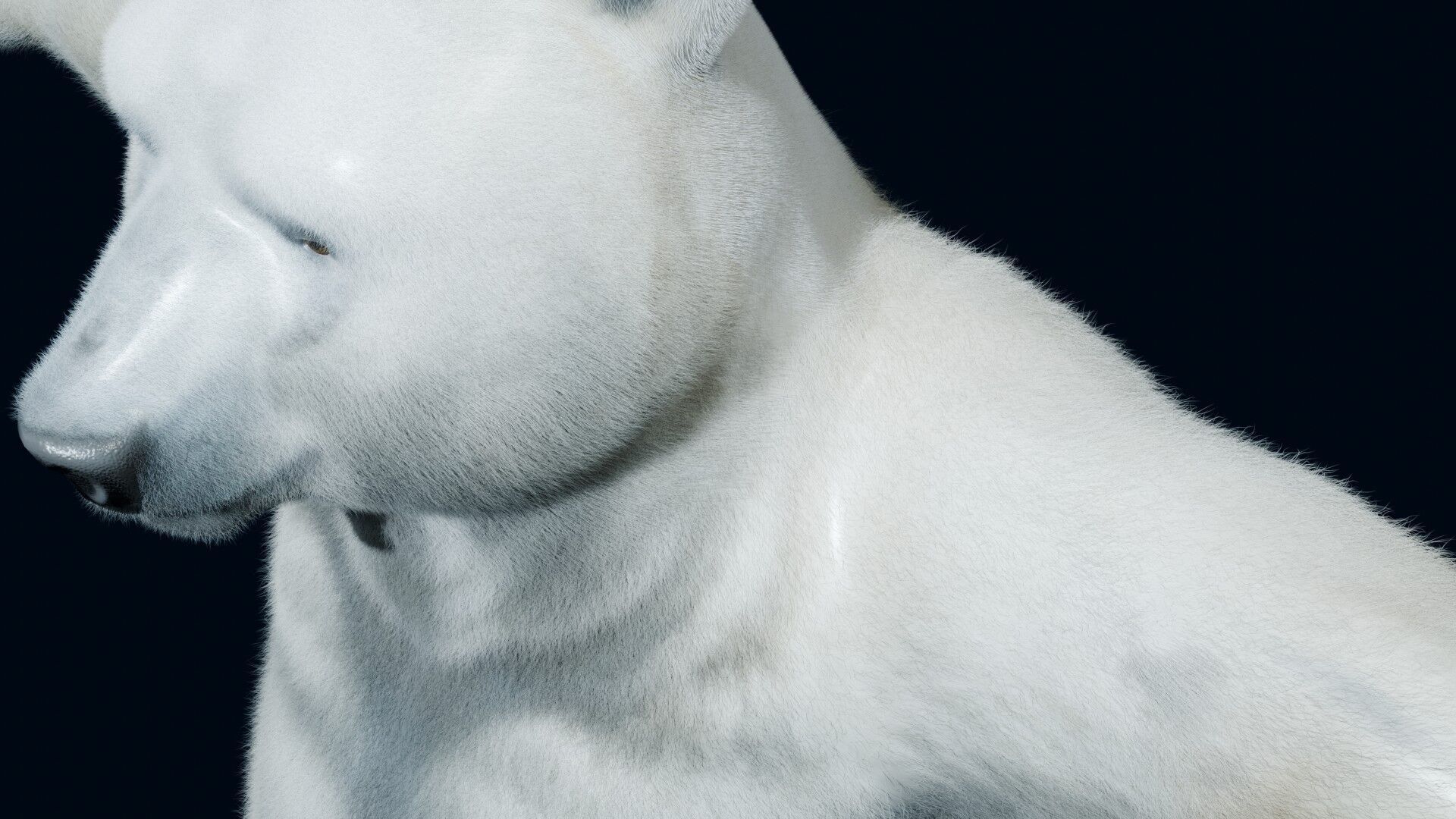 Polar bear Low-poly 3D model_4