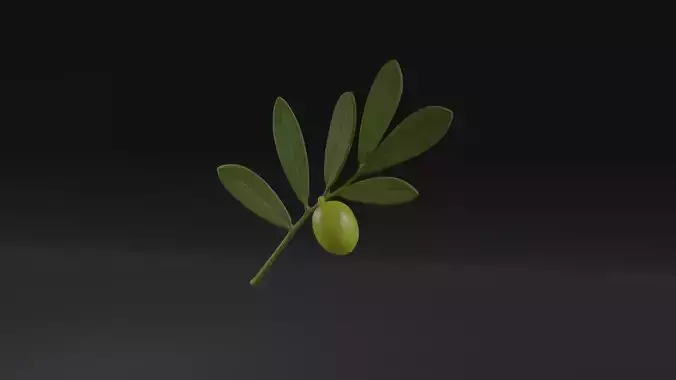 Olive Tree Branch with leaves
