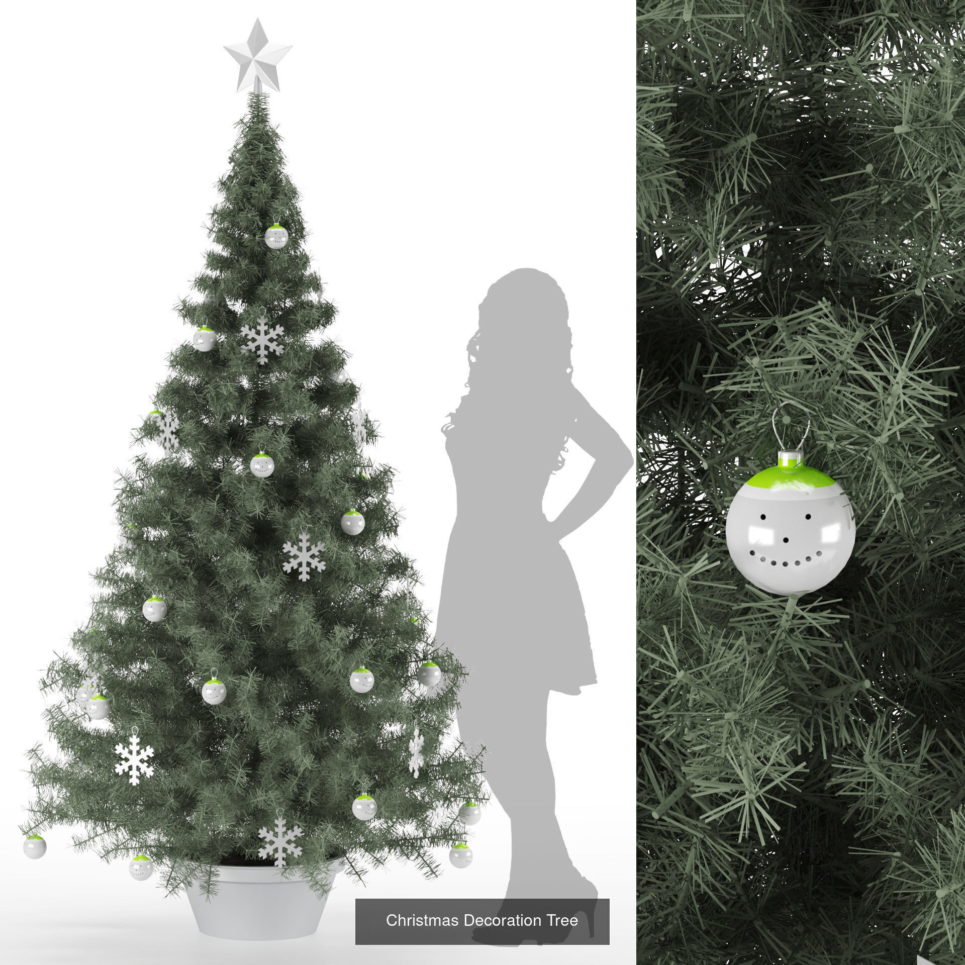 Conifer Species high quality 3D Model Collection_5