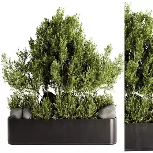  Indoor plants-Pot and tree  set168 3D model