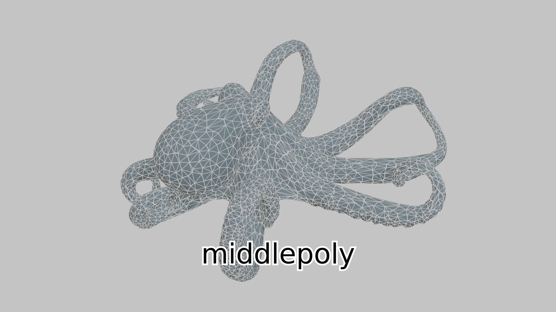 Realistic Octopus Sea Creature Model for 3D Rendering Low-poly 3D model_6