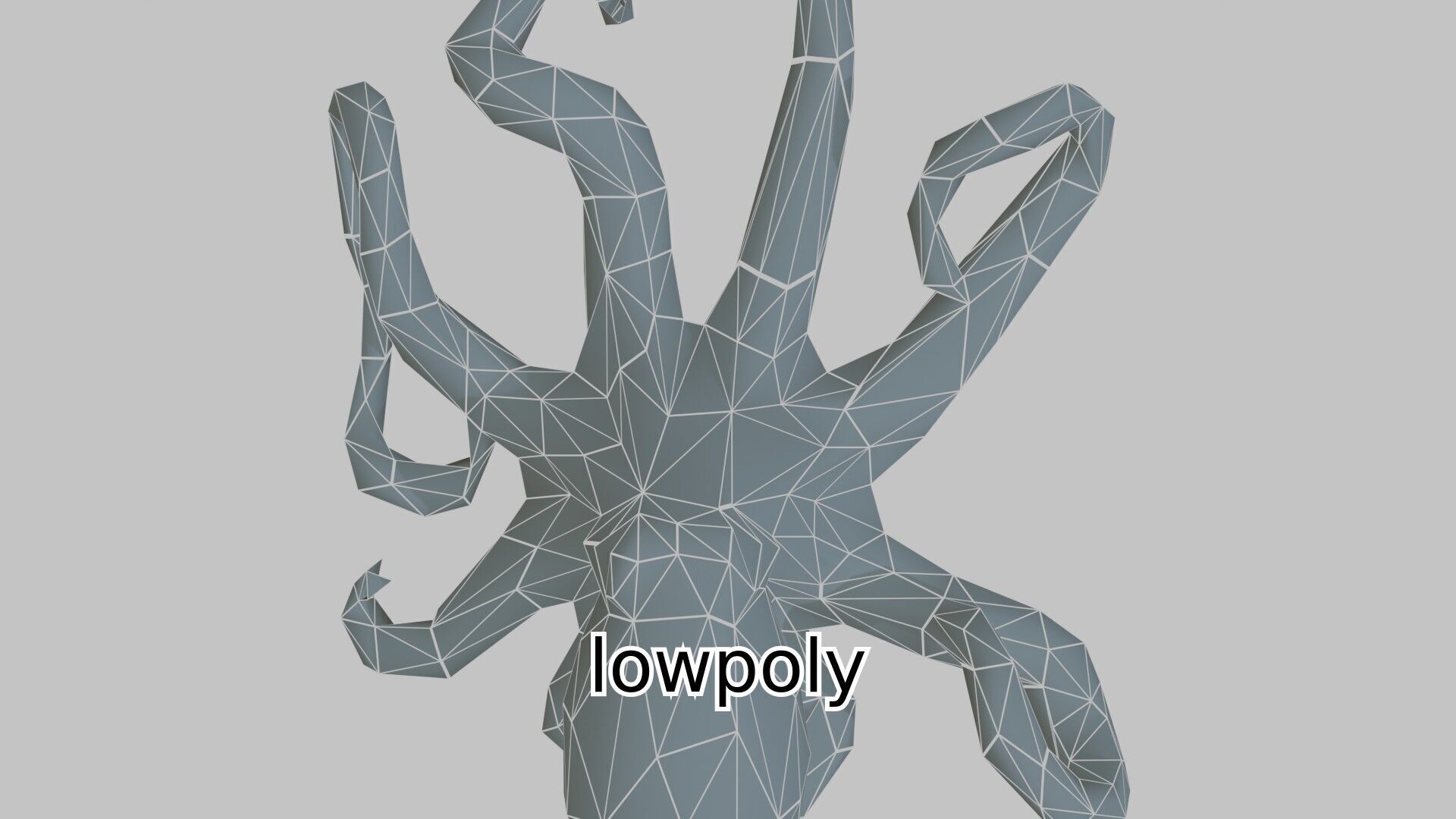 Realistic Octopus Sea Creature Model for 3D Rendering Low-poly 3D model_20