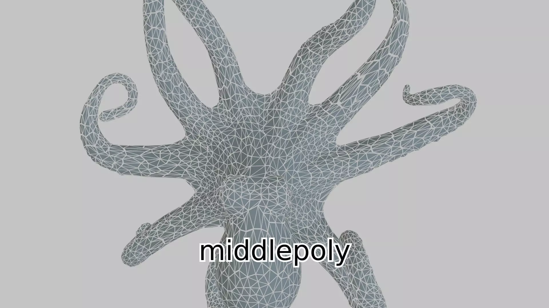 Realistic Octopus Sea Creature Model for 3D Rendering Low-poly 3D model_0