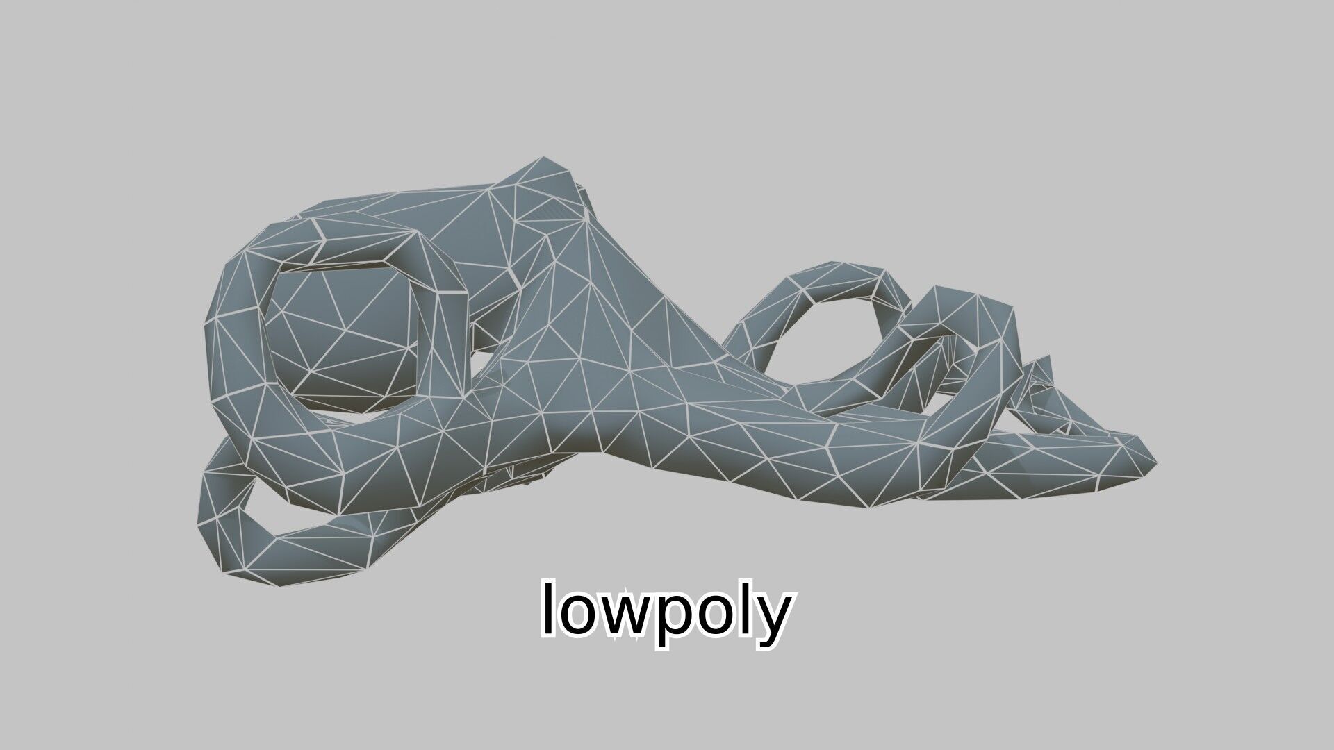 Realistic Octopus Sea Creature Model for 3D Rendering Low-poly 3D model_21