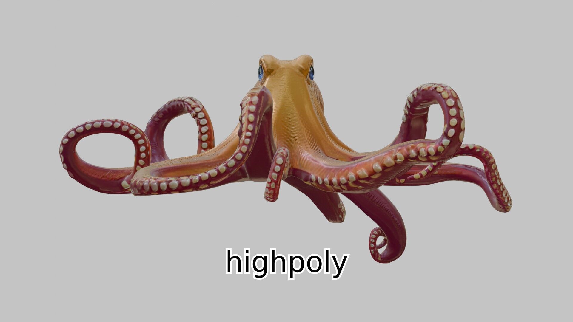 Realistic Octopus Sea Creature Model for 3D Rendering Low-poly 3D model_10