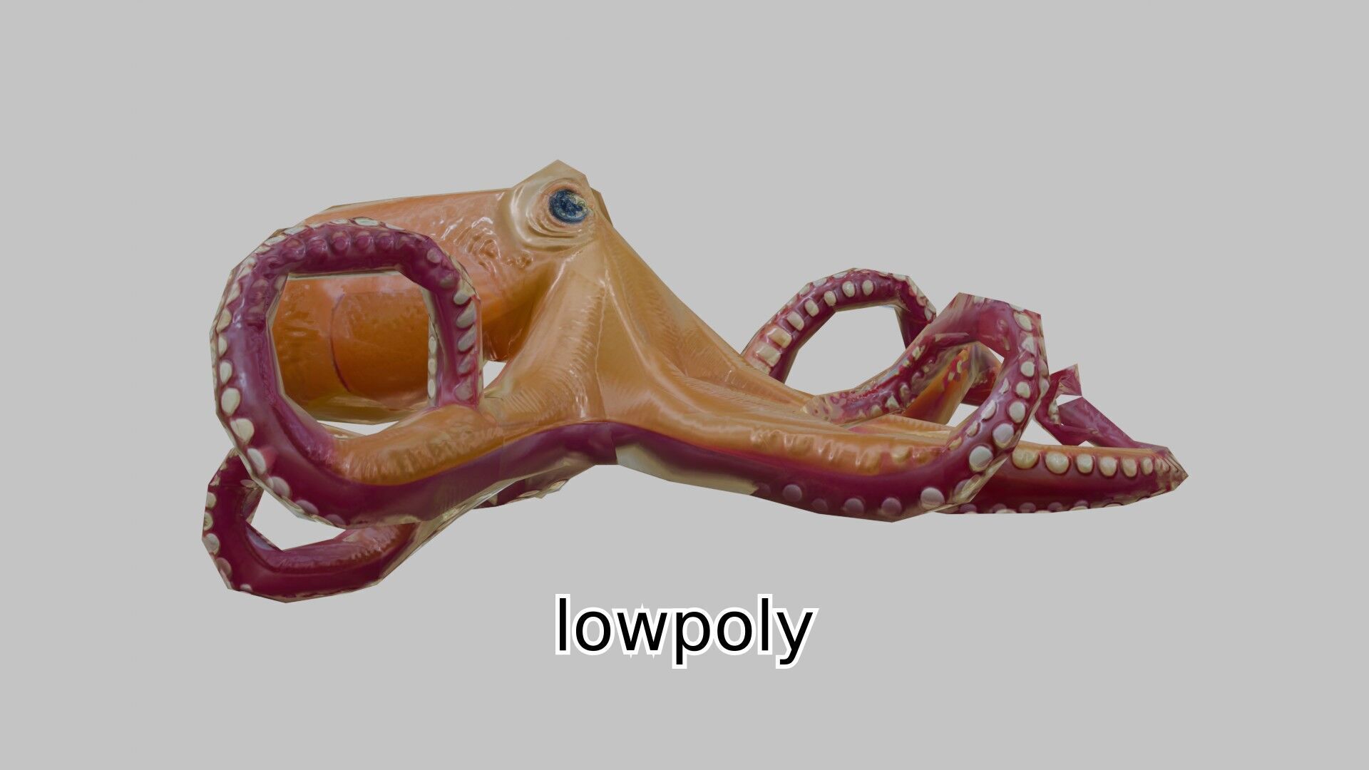 Realistic Octopus Sea Creature Model for 3D Rendering Low-poly 3D model_17