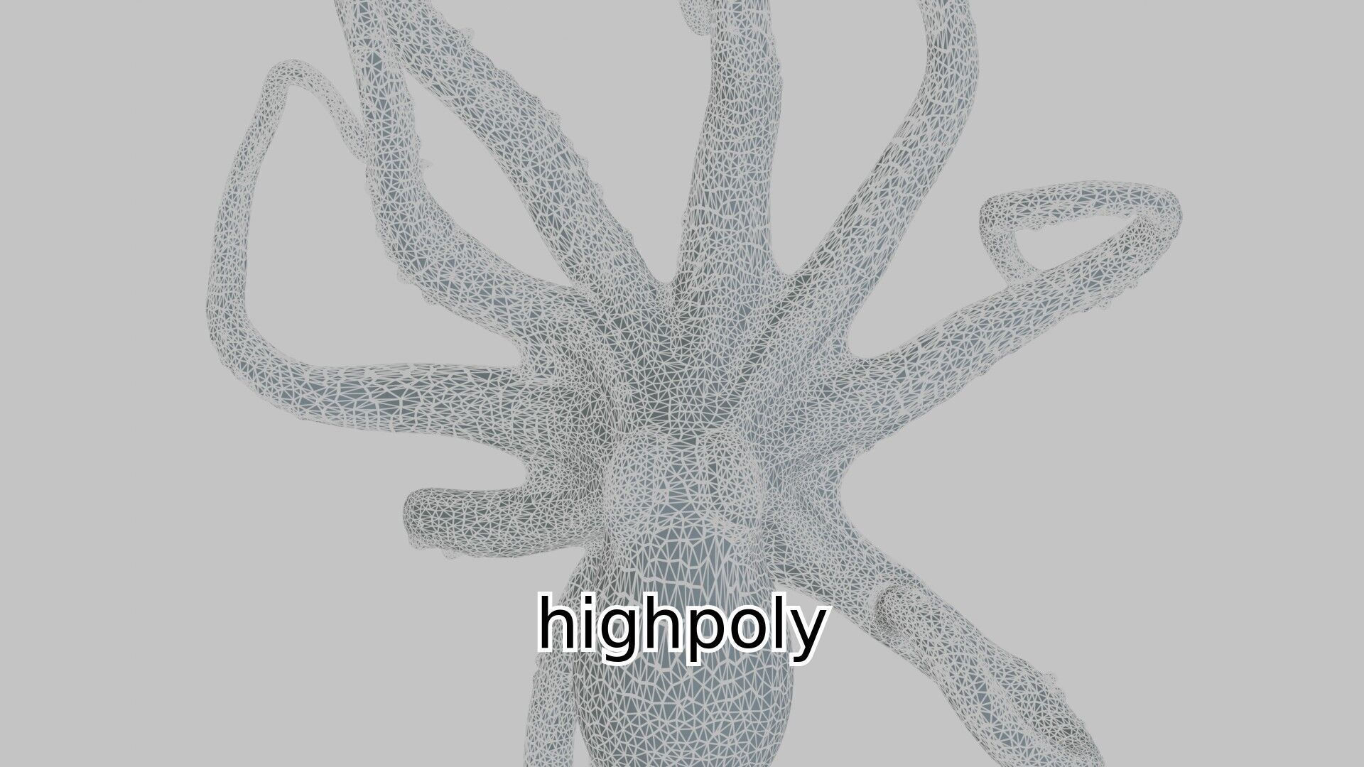 Realistic Octopus Sea Creature Model for 3D Rendering Low-poly 3D model_12