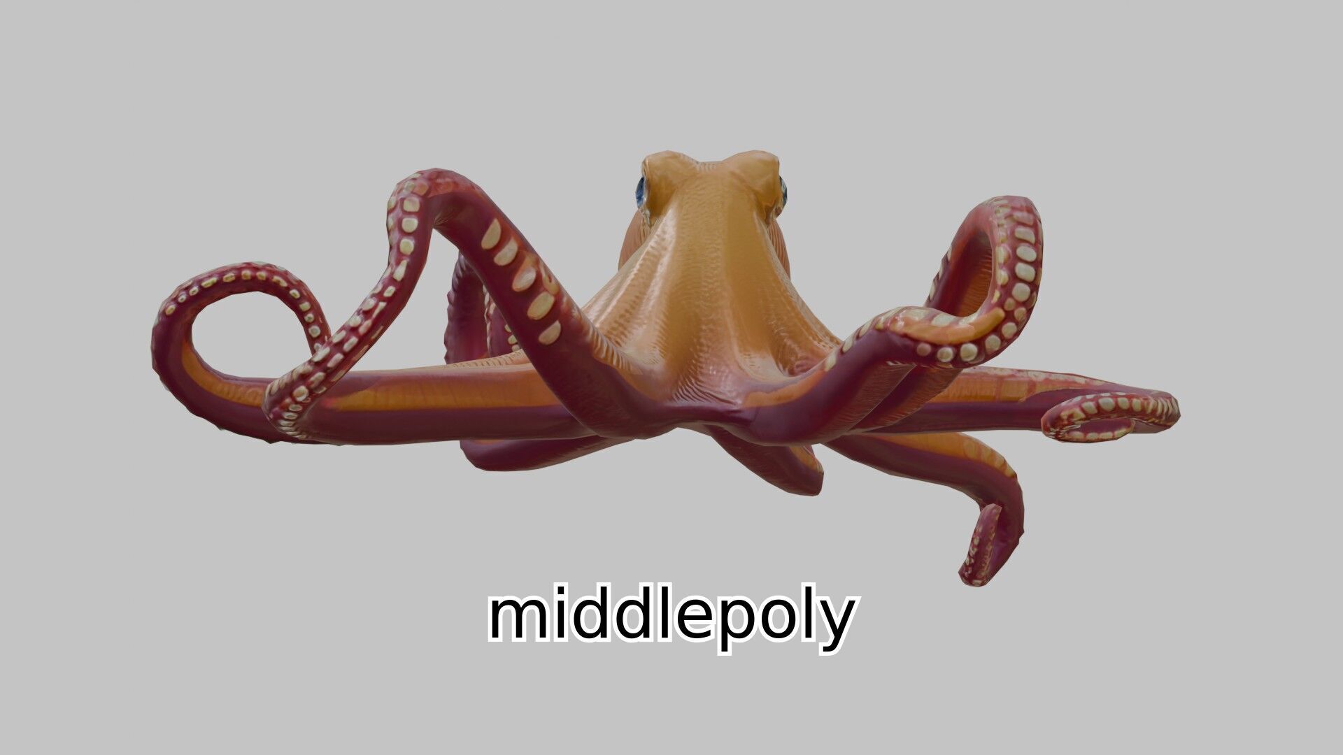 Realistic Octopus Sea Creature Model for 3D Rendering Low-poly 3D model_2