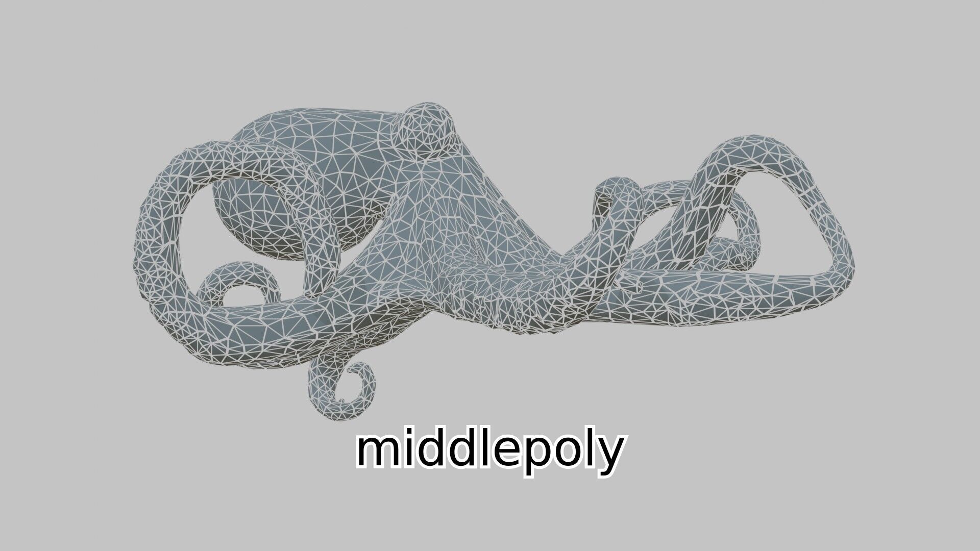 Realistic Octopus Sea Creature Model for 3D Rendering Low-poly 3D model_4