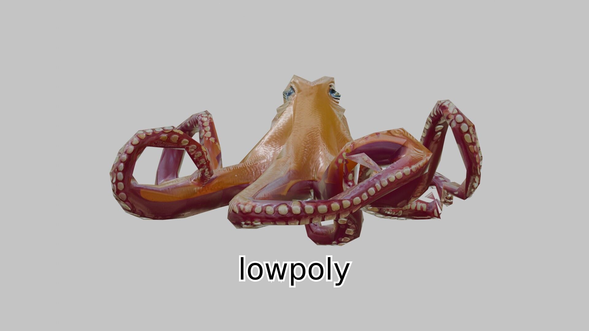 Realistic Octopus Sea Creature Model for 3D Rendering Low-poly 3D model_18