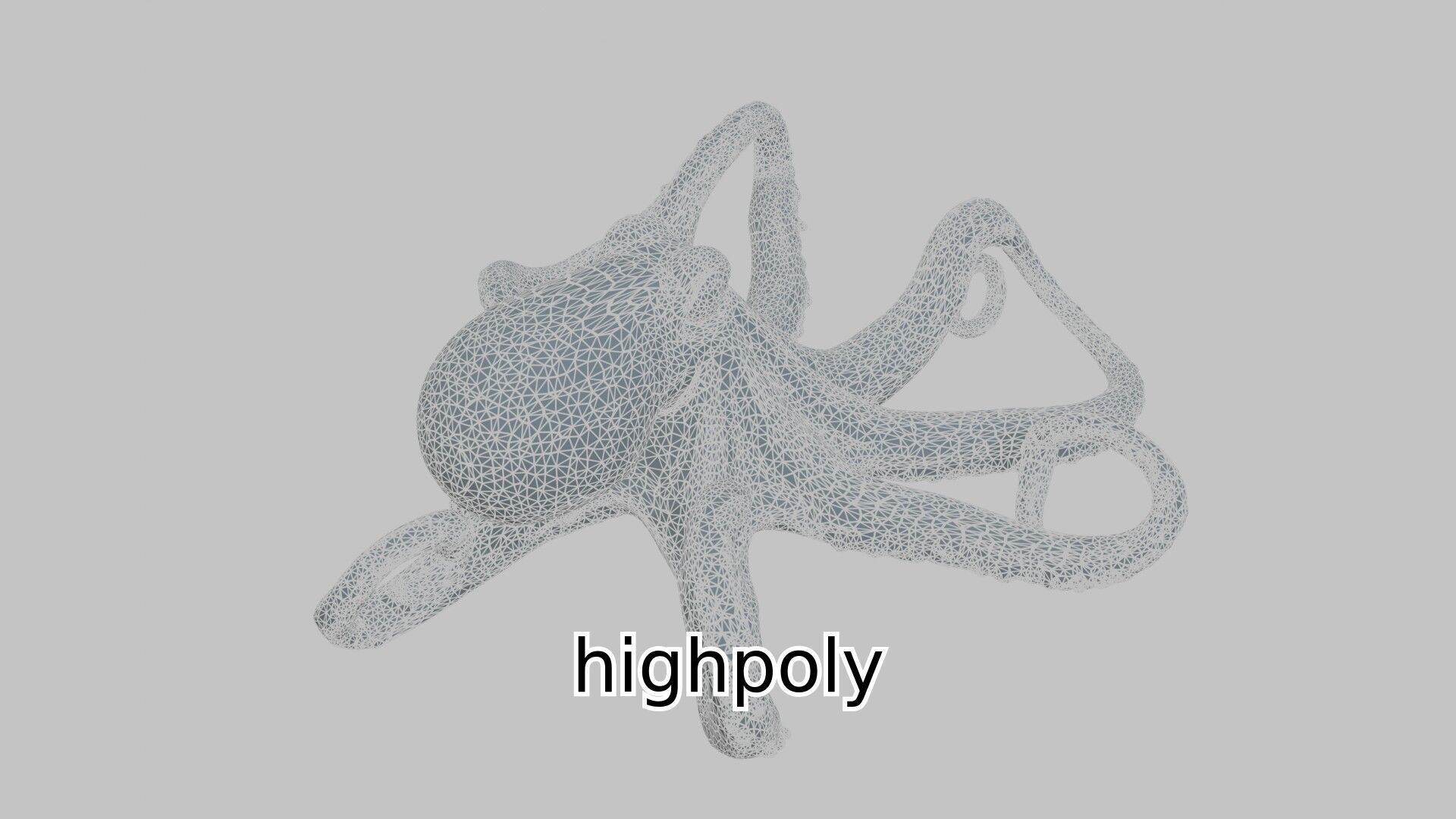 Realistic Octopus Sea Creature Model for 3D Rendering Low-poly 3D model_15