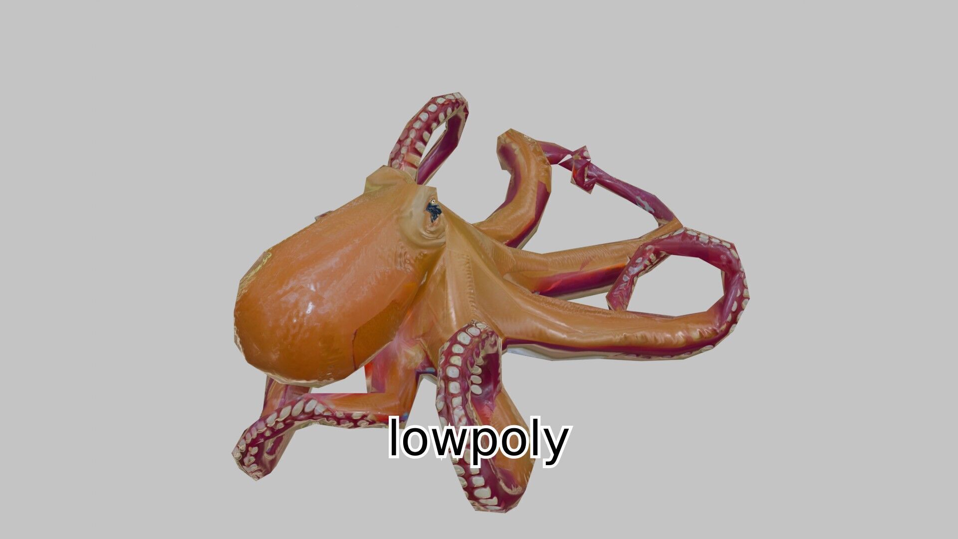 Realistic Octopus Sea Creature Model for 3D Rendering Low-poly 3D model_19