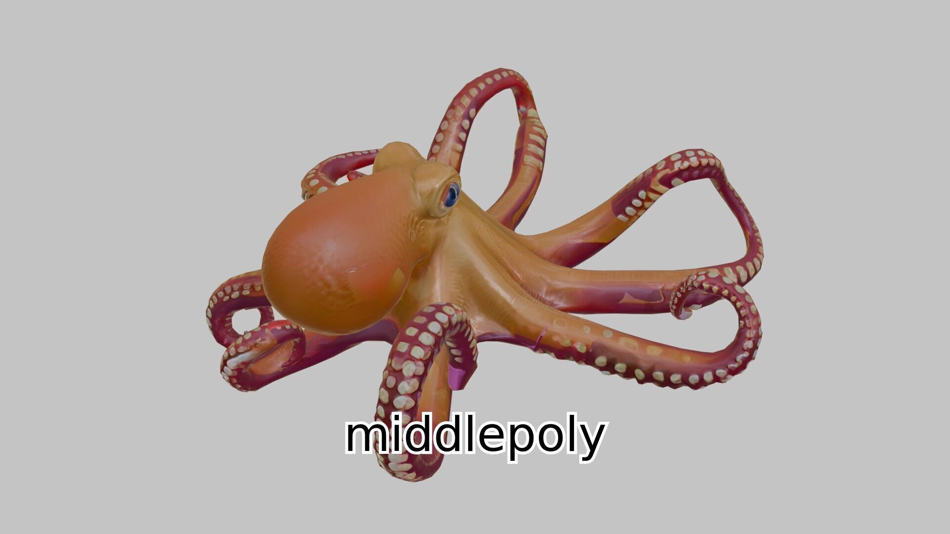 Realistic Octopus Sea Creature Model for 3D Rendering Low-poly 3D model_7